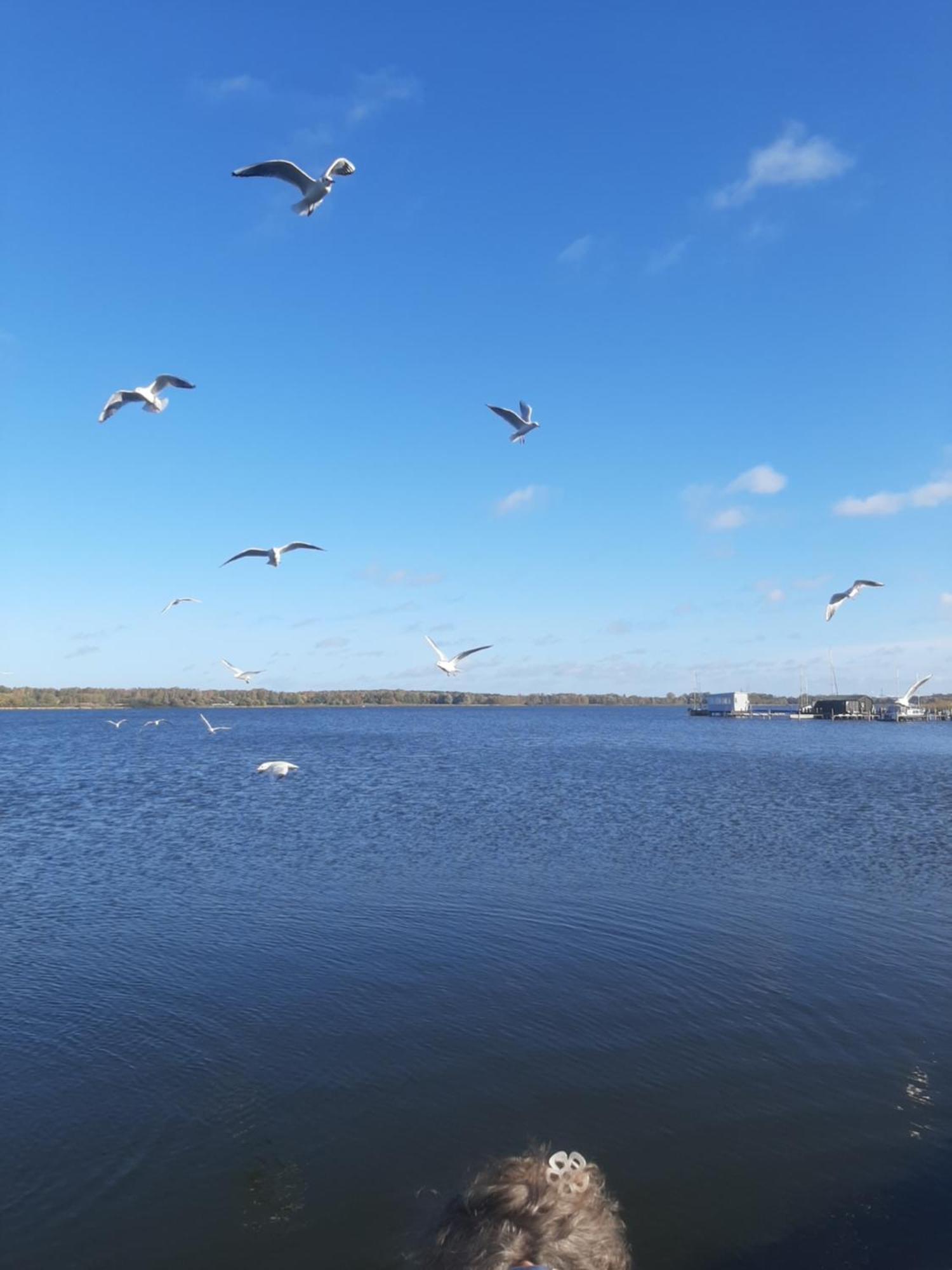 Hotel Perle Am Bodden Ribnitz-Damgarten Eksteriør bilde